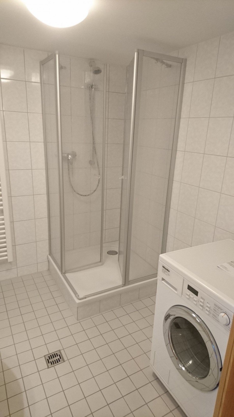 Bad DSC 1230 Dachgeschosswohnung Freiberg